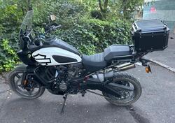 Harley-Davidson Pan America 1250 (2020 - 25) usata
