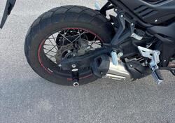 Voge Valico 500DSX (2021 - 24) usata