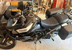 Triumph Tiger 900 GT (2020 - 23) usata