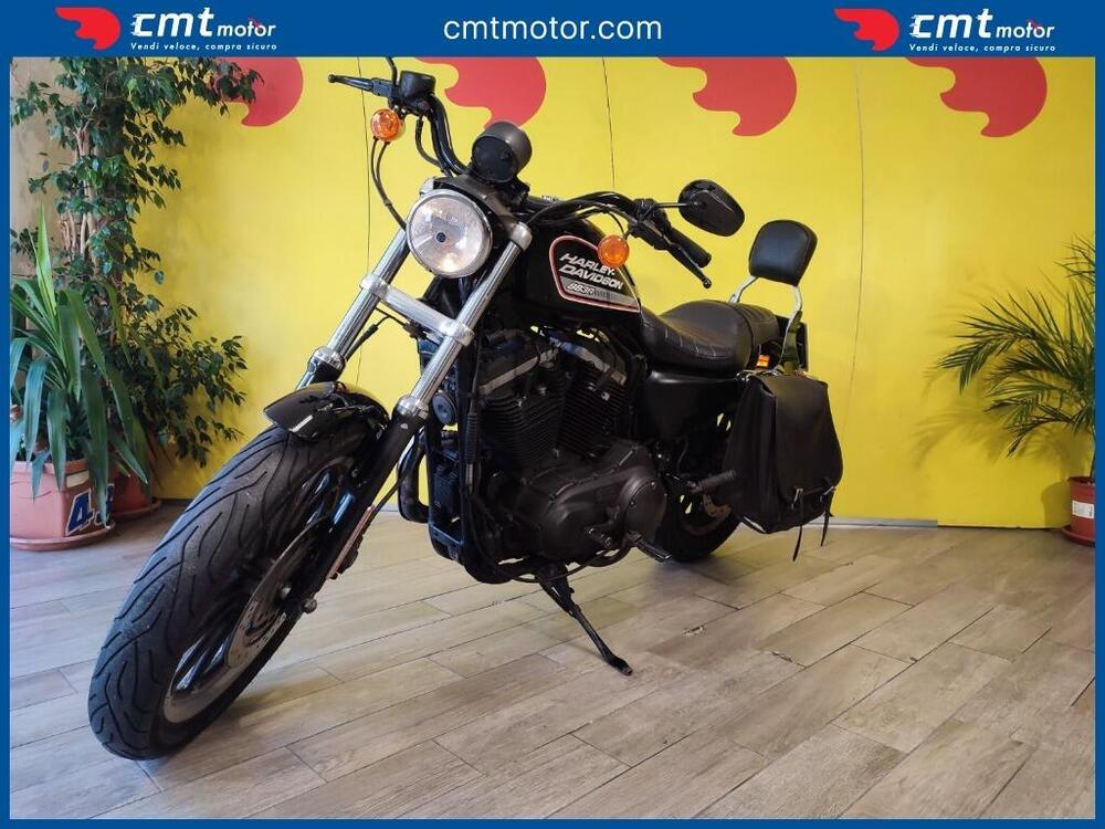 Harley-Davidson 883 (2008 - 09) - XL (2)