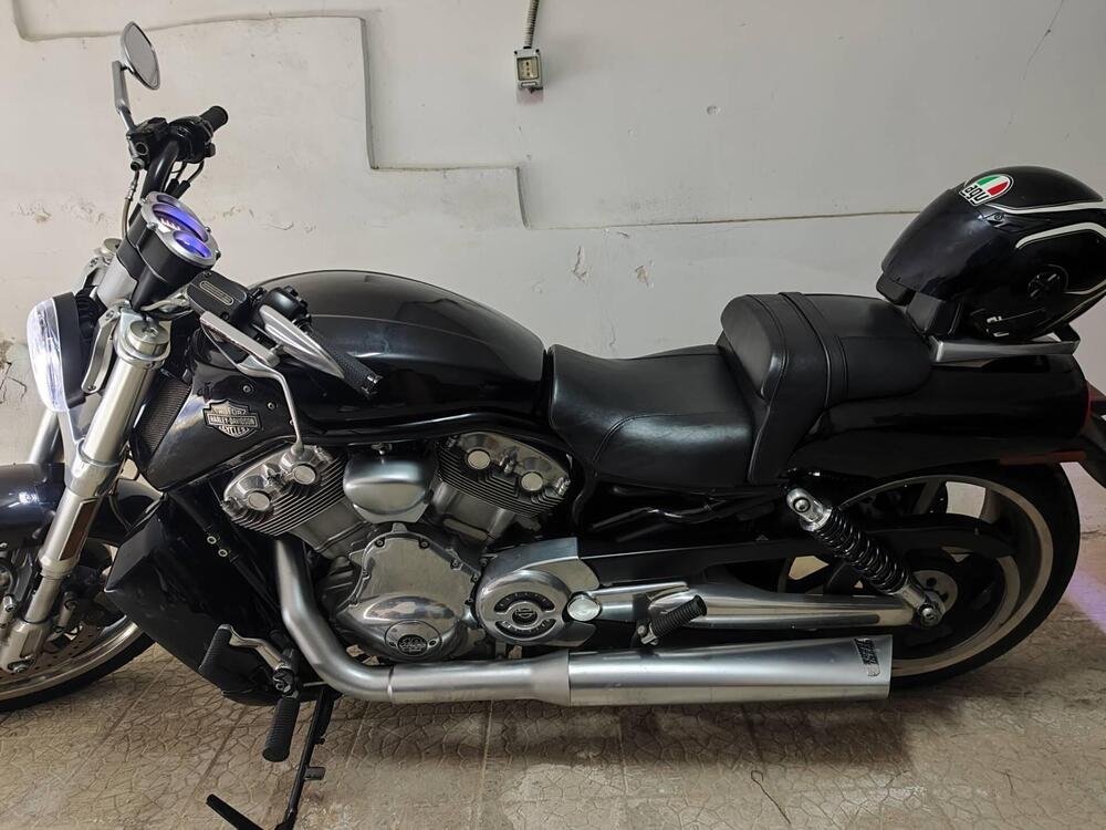 Harley-Davidson 1250 V-Rod Muscle (2009 - 17) - VRSCF