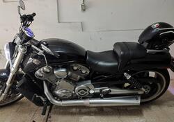 Harley-Davidson 1250 V-Rod Muscle (2009 - 17) - VRSCF usata