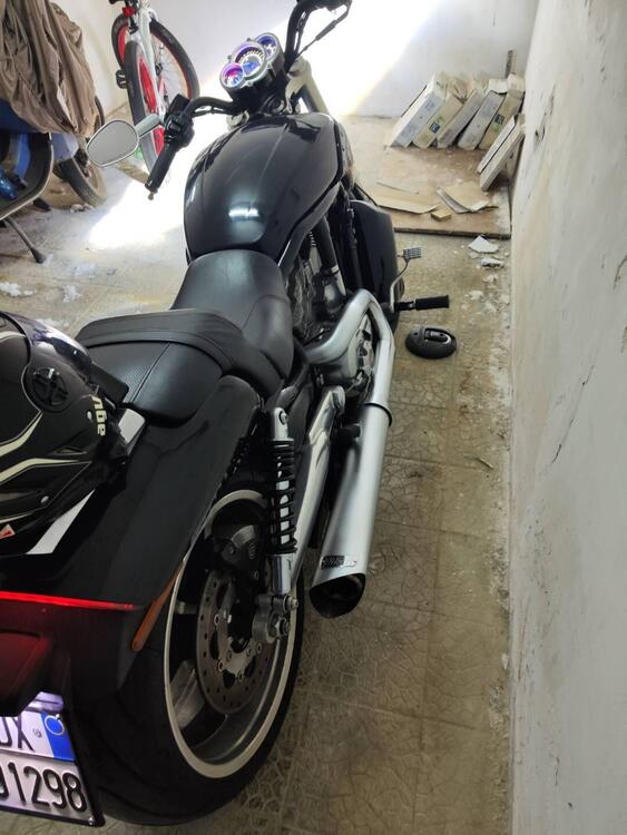 Harley-Davidson 1250 V-Rod Muscle (2009 - 17) - VRSCF (4)