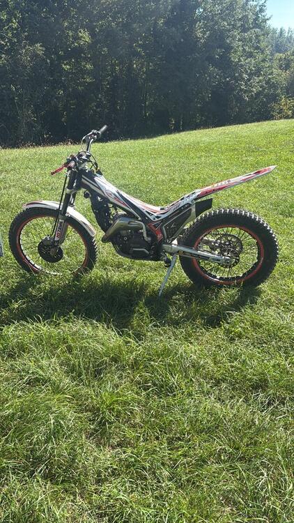 Betamotor Evo 290 2t (2011 - 12)