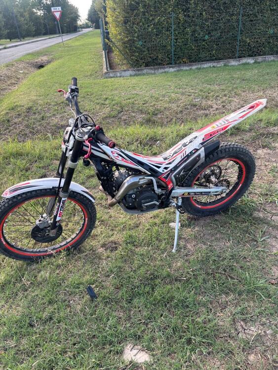 Betamotor Evo 290 2t (2011 - 12) (4)