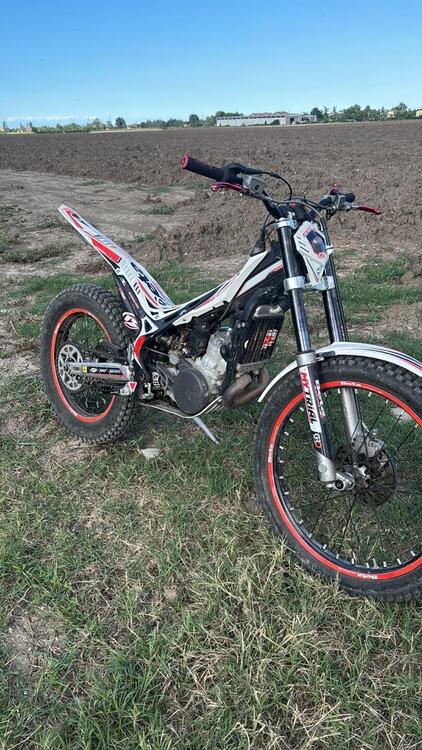 Betamotor Evo 290 2t (2011 - 12) (5)