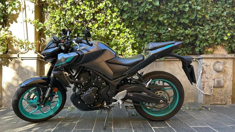 Yamaha MT-03 (2022 - 24)