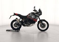 Ducati DesertX (2022 - 25) nuova
