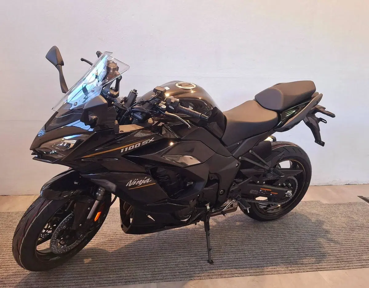 Kawasaki Ninja 1100 SX (2025 - 26) (2)