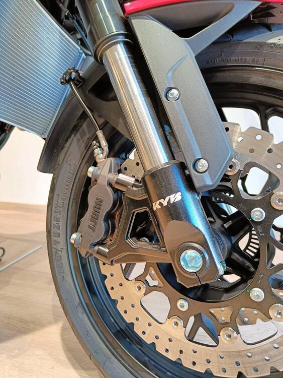 Cyclone RX650 (2025) (2)