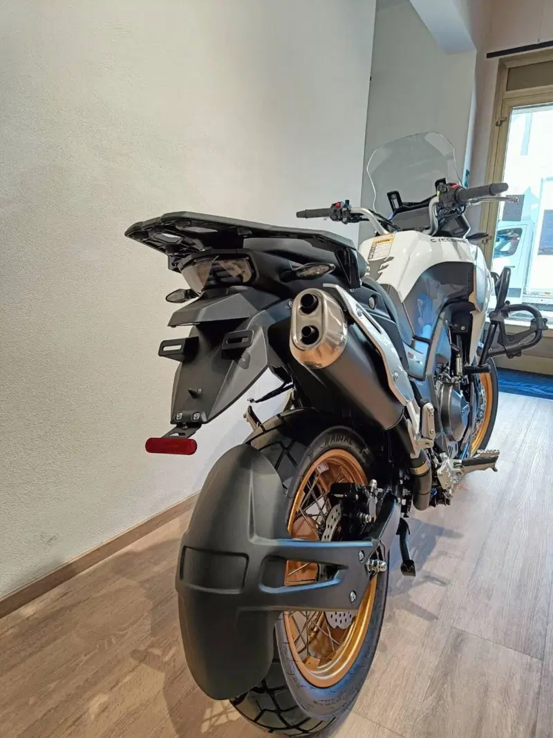 Cyclone RX600 (2025 - 26) (5)