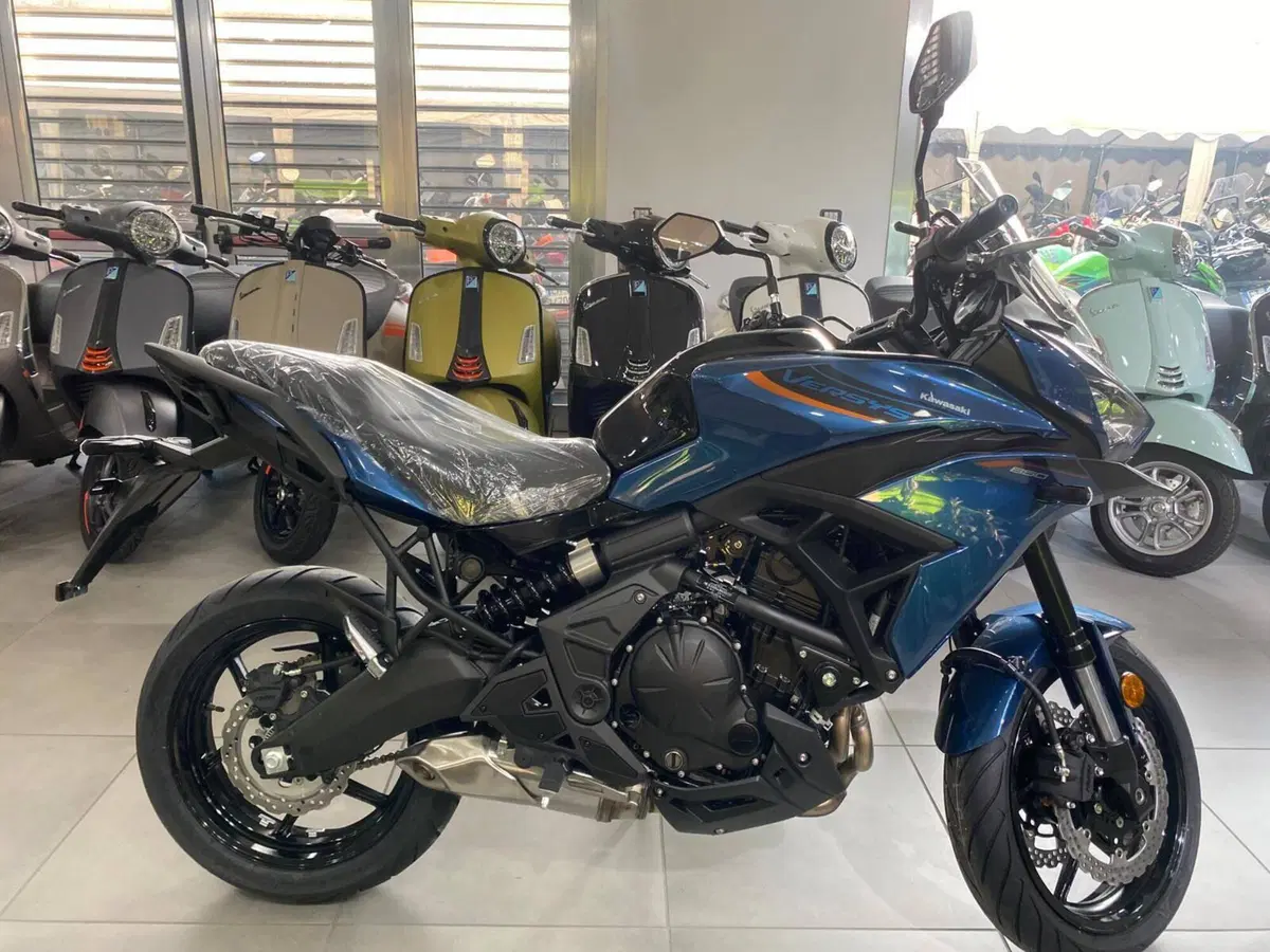 Kawasaki Versys 650 (2025 - 26)