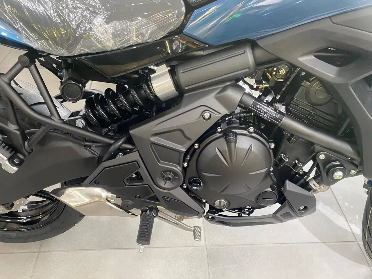 Kawasaki Versys 650 (2025 - 26) (4)