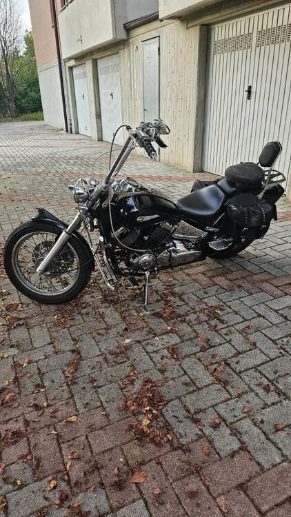 Yamaha XVS 650 Drag Star (1997 - 05) (2)