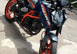 KTM 390 Duke (2024 - 26) usata