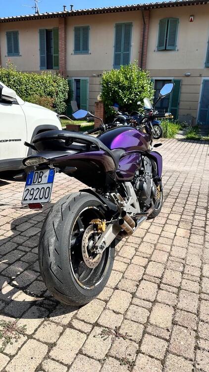 Honda Hornet 600 (2007 - 10)