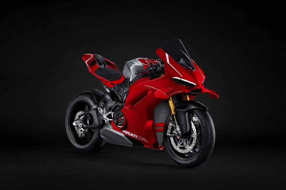 Panigale V4R: che ferro! (4)
