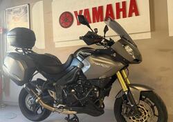 Triumph Tiger 1050 (2006 - 12) usata