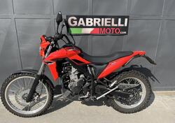 Betamotor Alp 4.0 (2024 - 25) usata