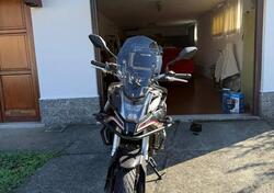 Voge Valico 500DS (2021 - 24) usata