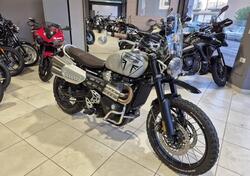 Triumph Scrambler 1200 X (2024 - 25) usata