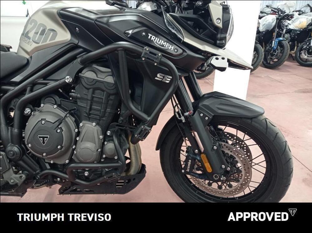Triumph Tiger 1200 Desert Edition (2020) (5)