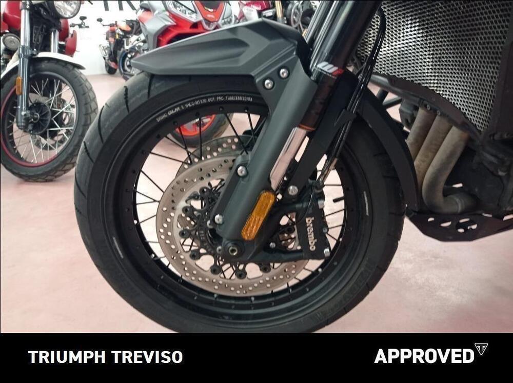 Triumph Tiger 1200 Desert Edition (2020) (4)