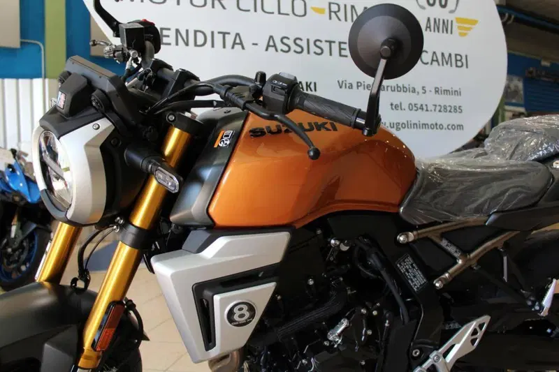 Suzuki GSX-8T (2025 - 26) (6)