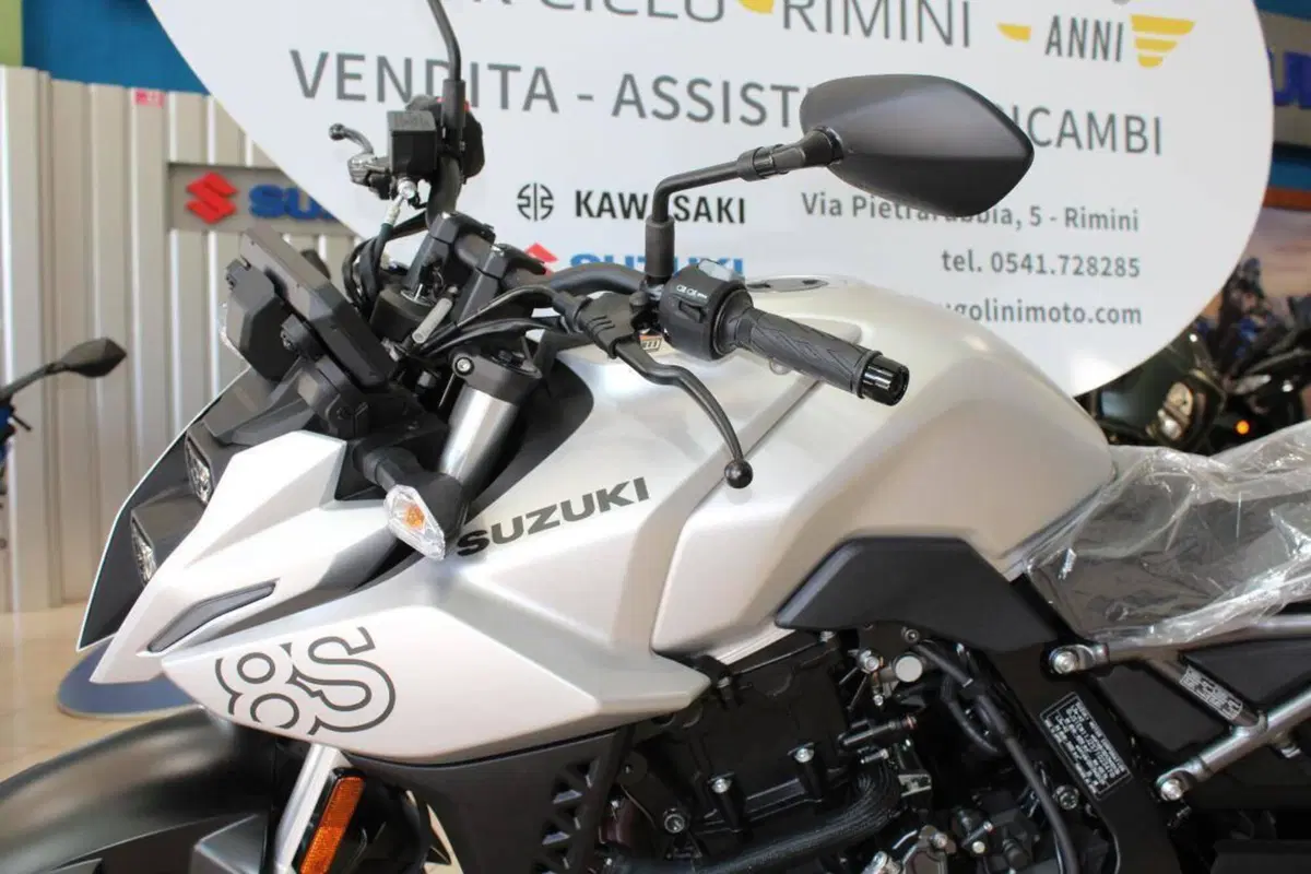 Suzuki GSX-8S (2025 - 26) (3)