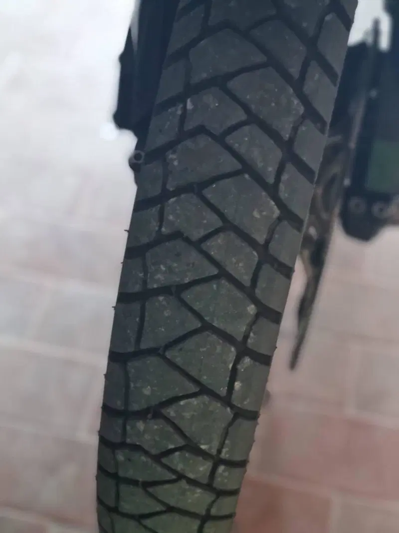 Honda Africa Twin CRF 1000L DCT (2018 - 19) (12)