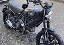 Ducati Scrambler 800 Icon (2015 - 16) usata