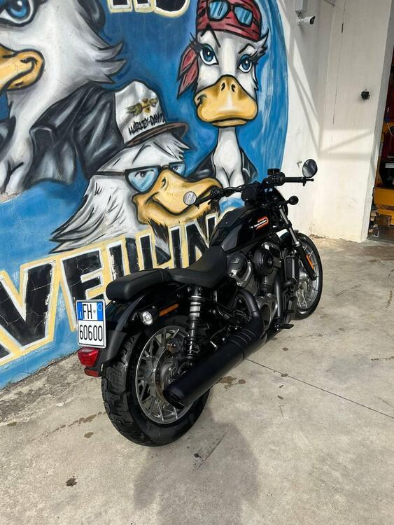 Harley-Davidson Nightster Special (2023 - 25) (2)