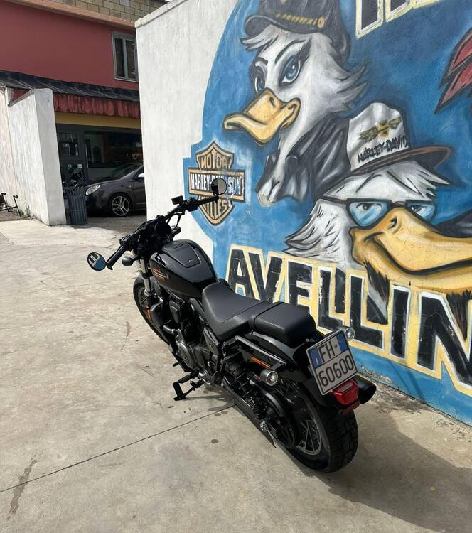 Harley-Davidson Nightster Special (2023 - 25) (3)