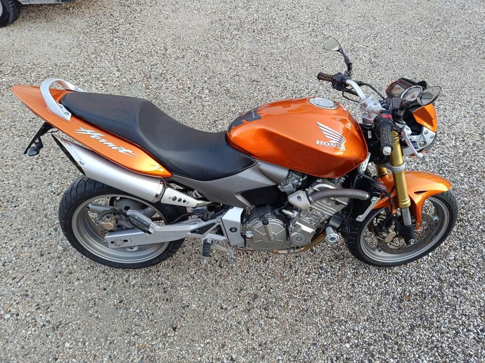 Honda Hornet 600 (2005 - 06) (4)