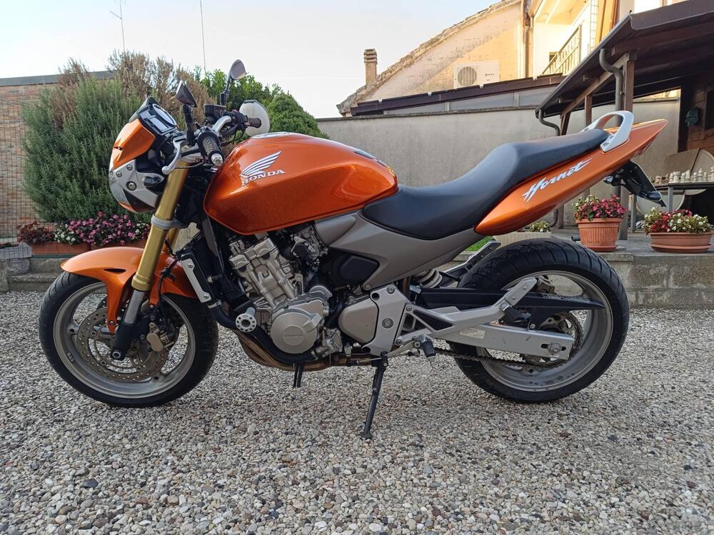 Honda Hornet 600 (2005 - 06) (5)