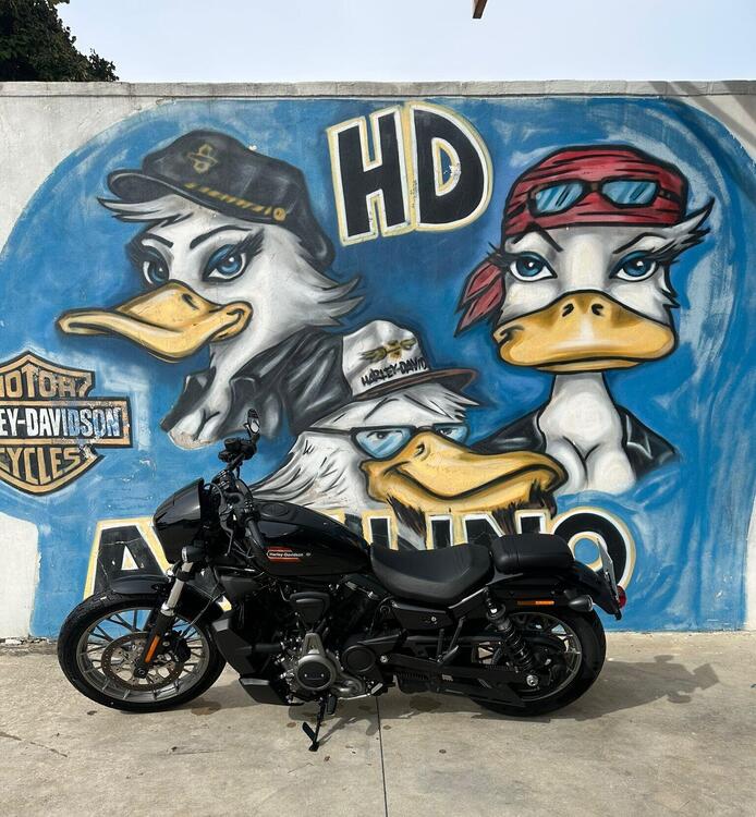 Harley-Davidson Nightster Special (2023 - 25)