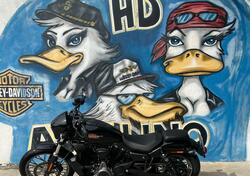 Harley-Davidson Nightster Special (2023 - 25) usata