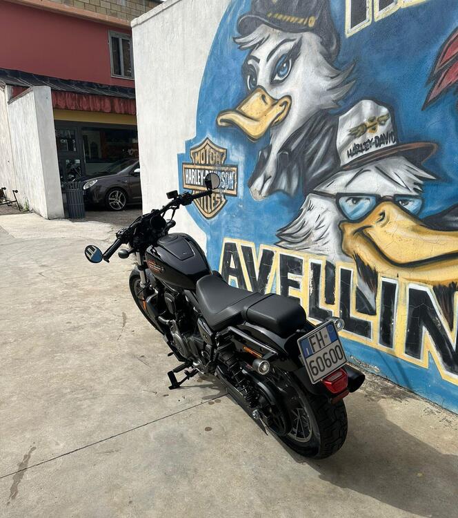 Harley-Davidson Nightster Special (2023 - 25) (3)