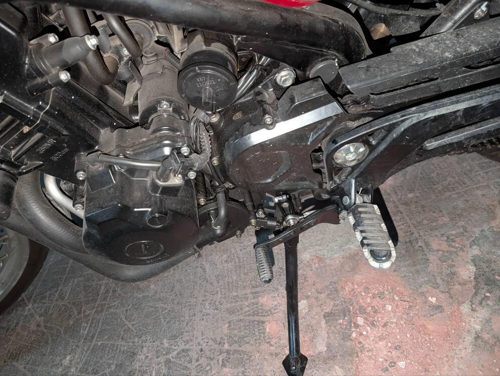 Benelli Leoncino 500 Trail (2021 - 25) (3)