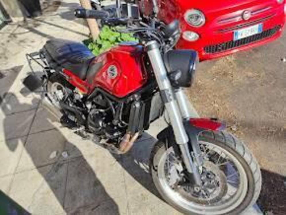 Benelli Leoncino 500 Trail (2021 - 25)