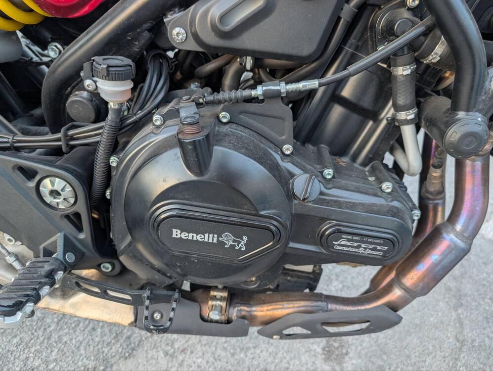 Benelli Leoncino 500 Trail (2021 - 25) (4)
