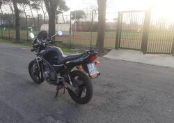 Kawasaki ER-5 500 (2001 - 06) usata