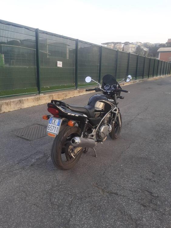 Kawasaki ER-5 500 (2001 - 06) (2)