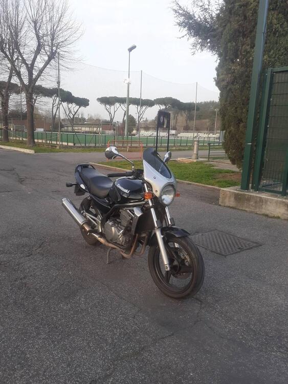 Kawasaki ER-5 500 (2001 - 06) (3)