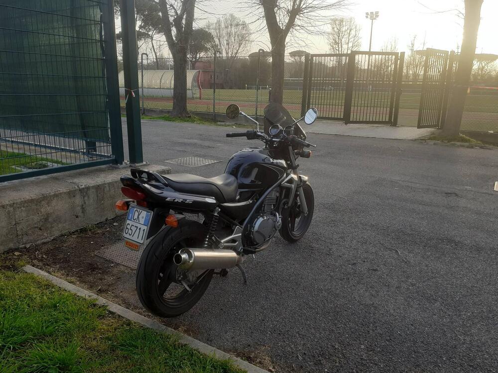 Kawasaki ER-5 500 (2001 - 06) (5)