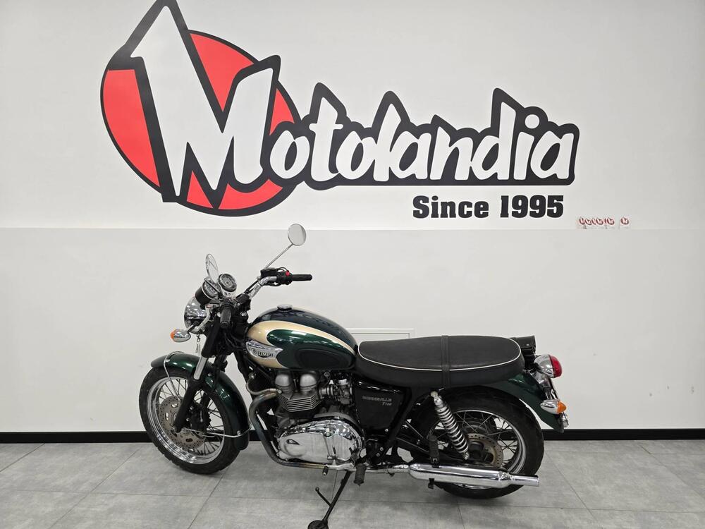 Triumph Bonneville T100 (2001 - 07) (2)