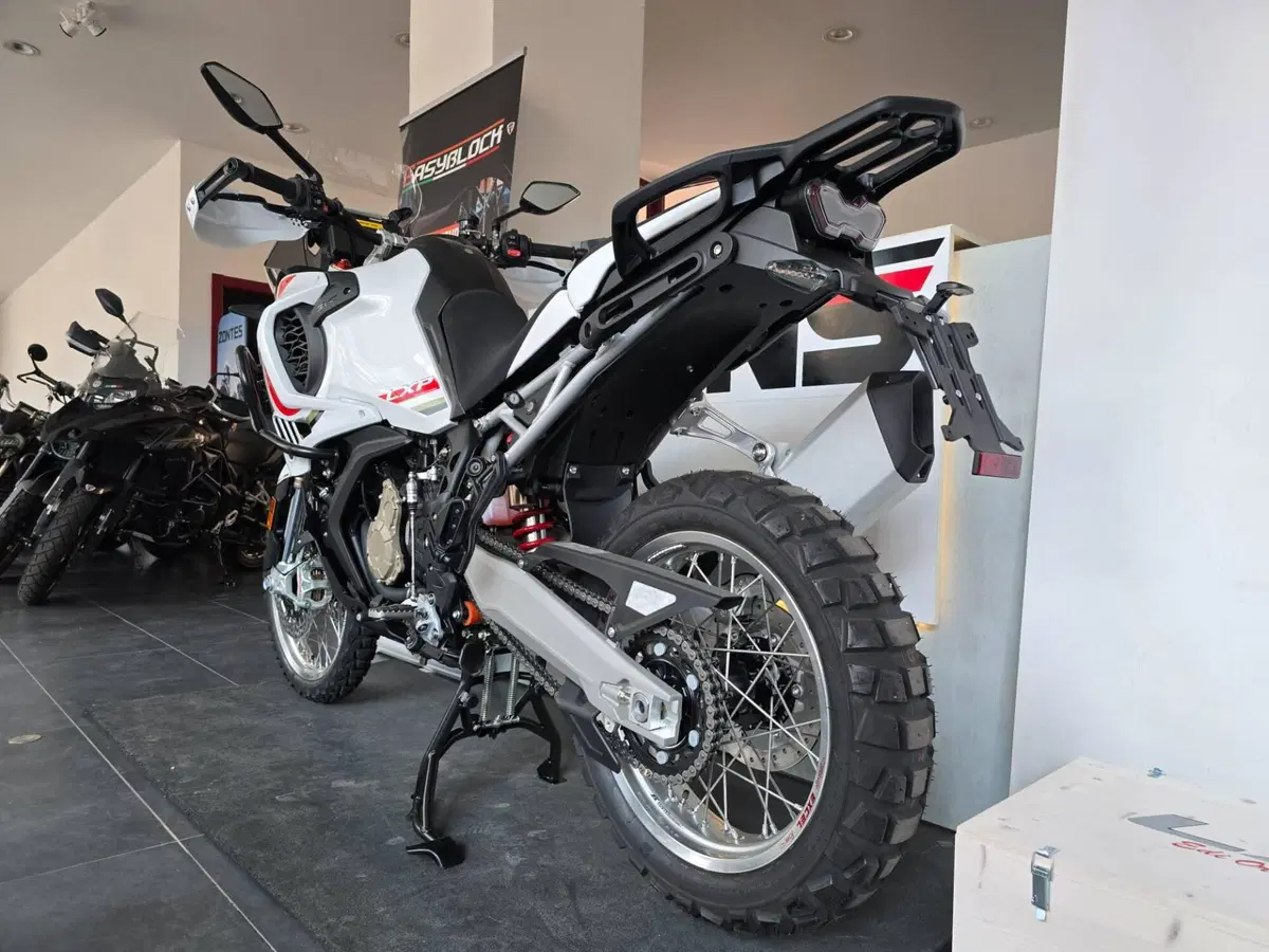 MV Agusta LXP Orioli (2024 - 26) (6)