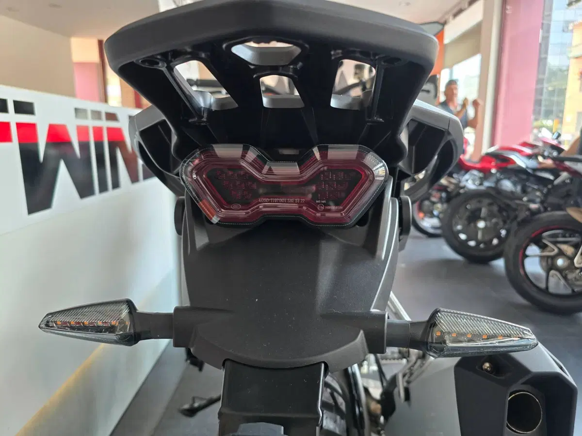 MV Agusta LXP Orioli (2024 - 26) (7)