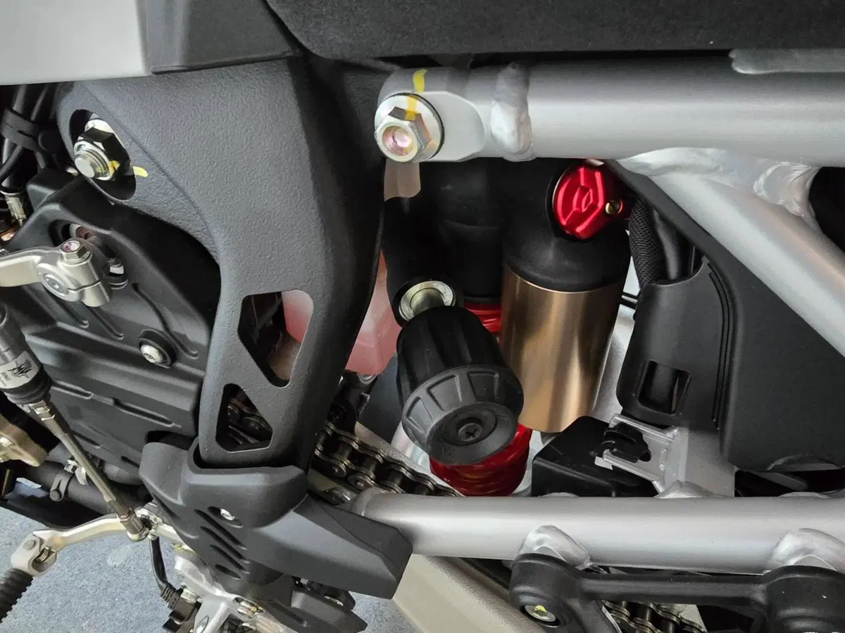 MV Agusta LXP Orioli (2024 - 26) (11)