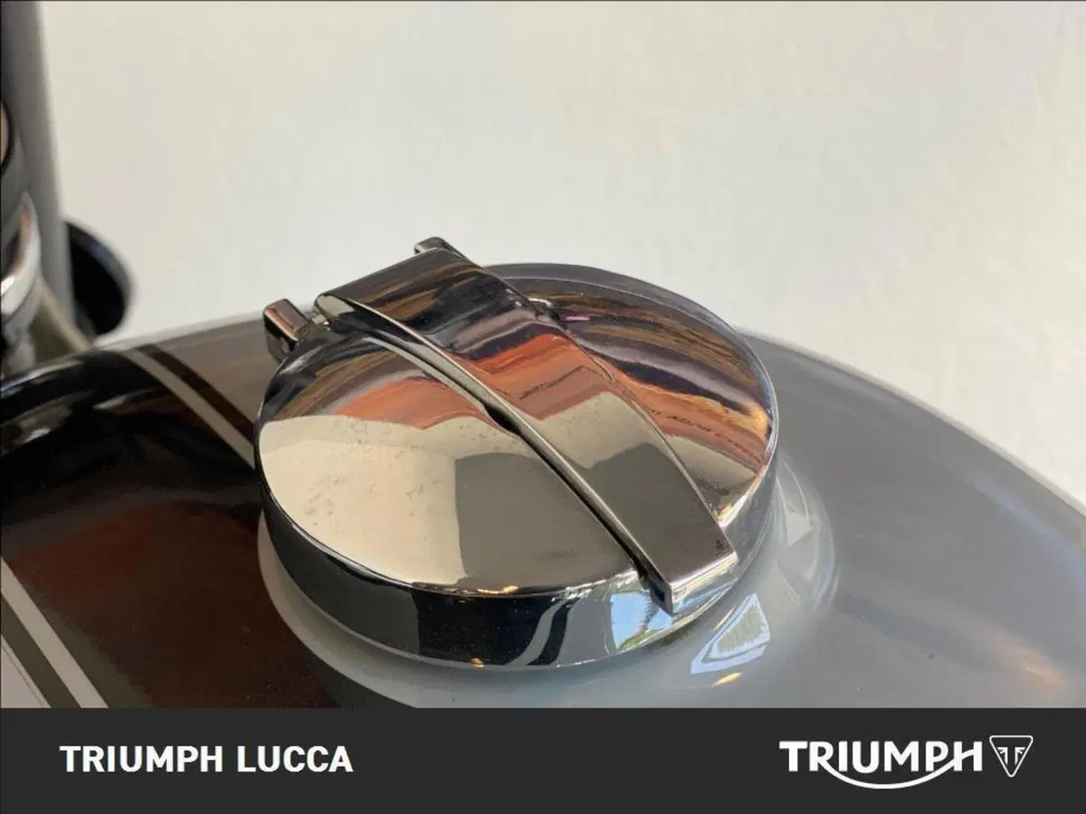 Mash Italia Dirt Track 650 (2019 - 20) (9)